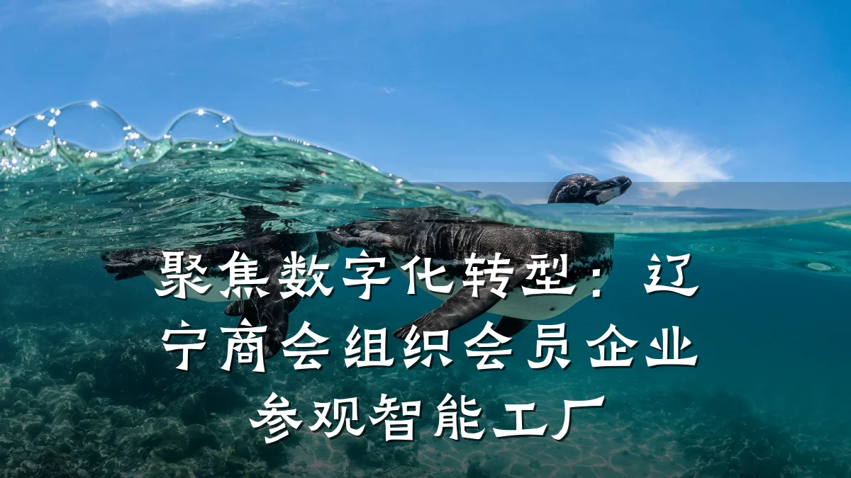 聚焦数字化转型:辽宁商会组织会员企业参观智能工厂