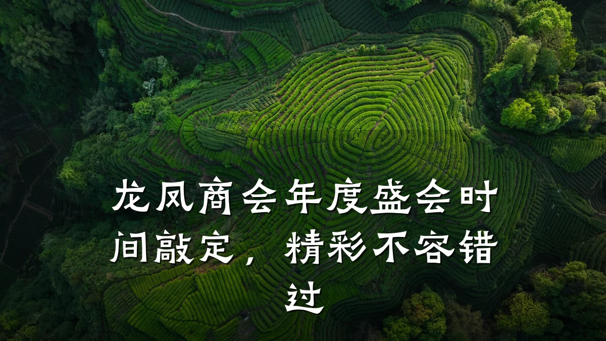 龙凤商会年度盛会时间敲定,精彩不容错过