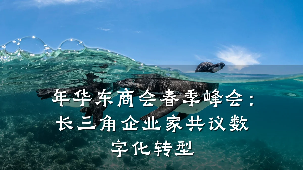 年华东商会春季峰会:长三角企业家共议数字化转型