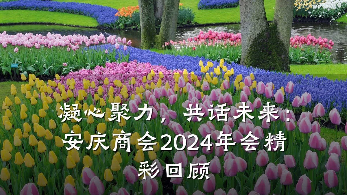 凝心聚力,共话未来:安庆商会2024年会精彩回顾