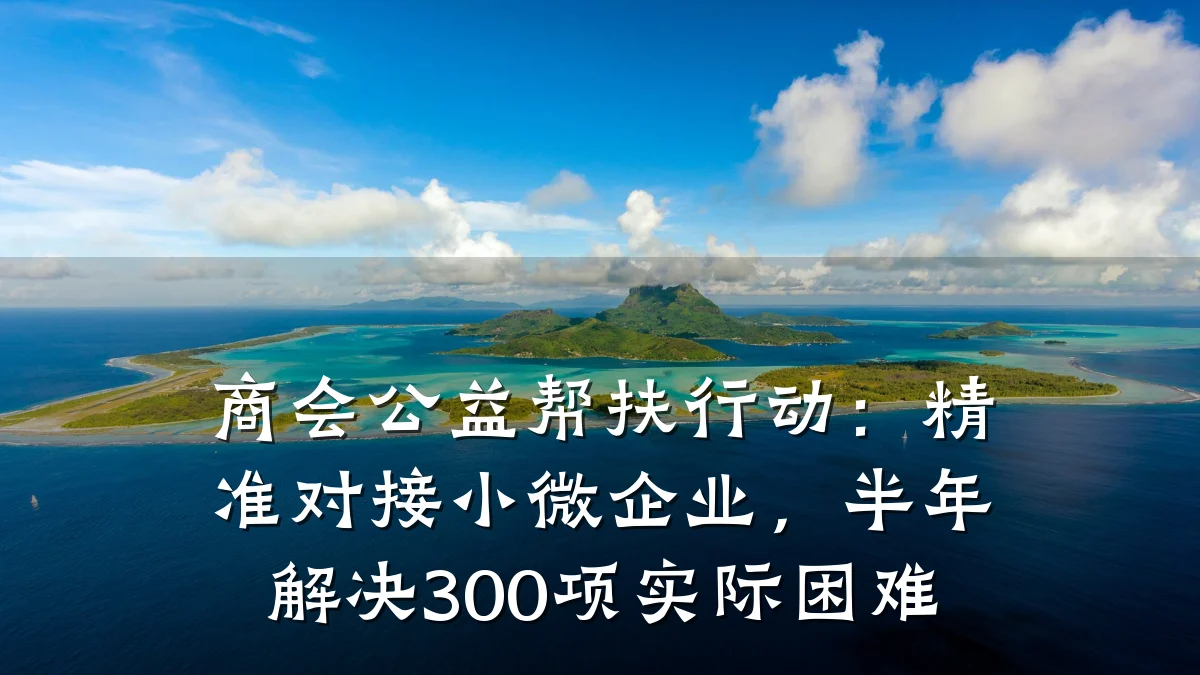 商会公益帮扶行动：精准对接小微企业，半年解决300项实际困难