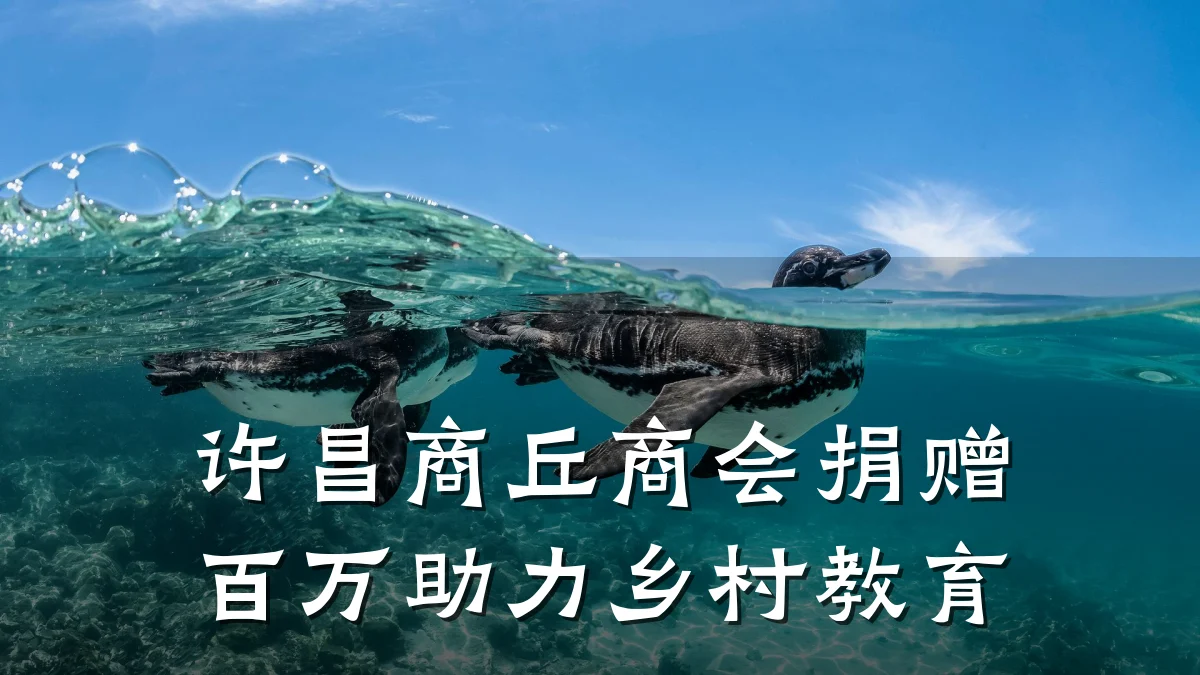 许昌商丘商会捐赠百万助力乡村教育