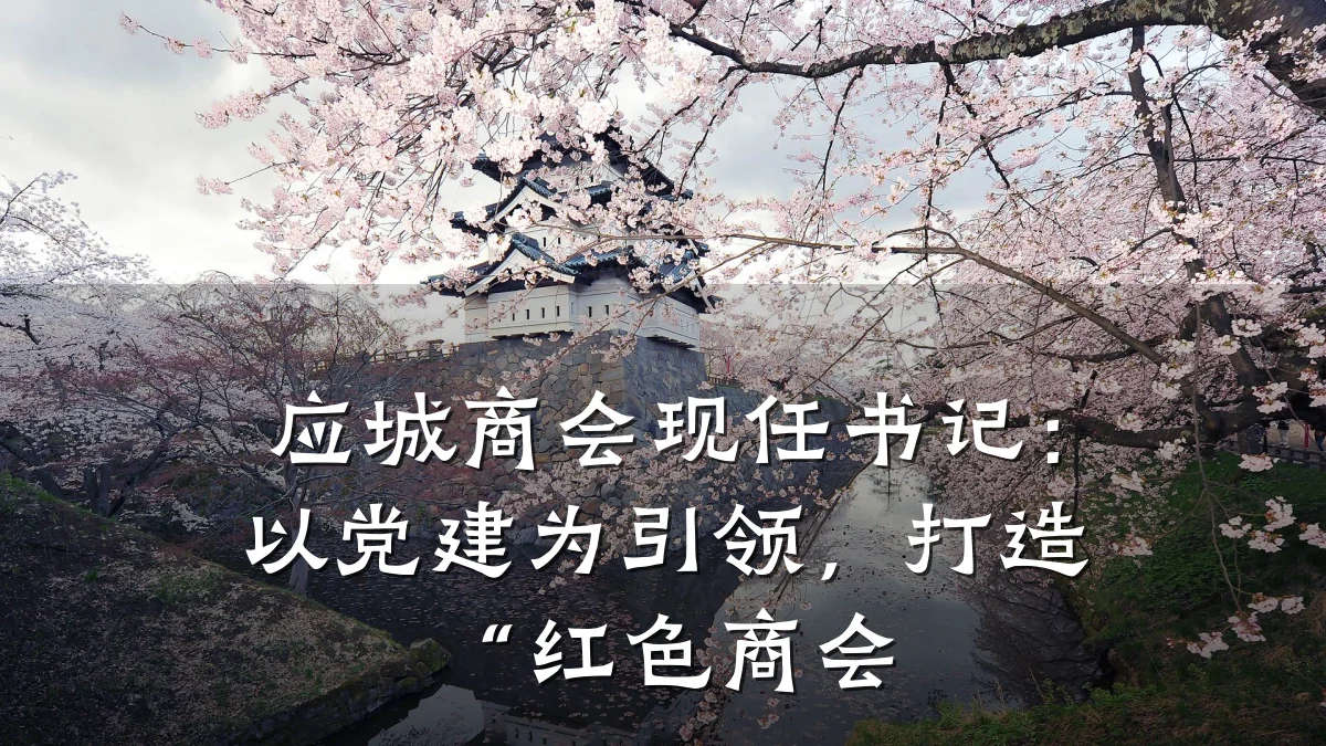 应城商会现任书记:以党建为引领,打造“红色商会