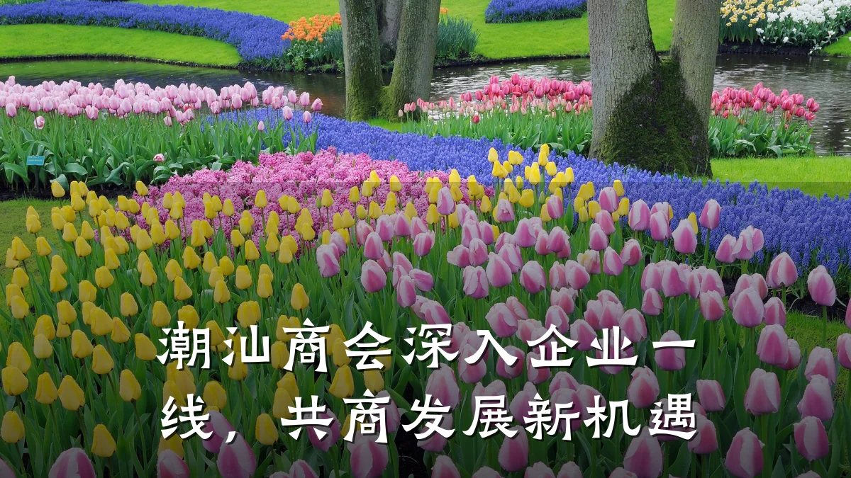 潮汕商会深入企业一线,共商发展新机遇
