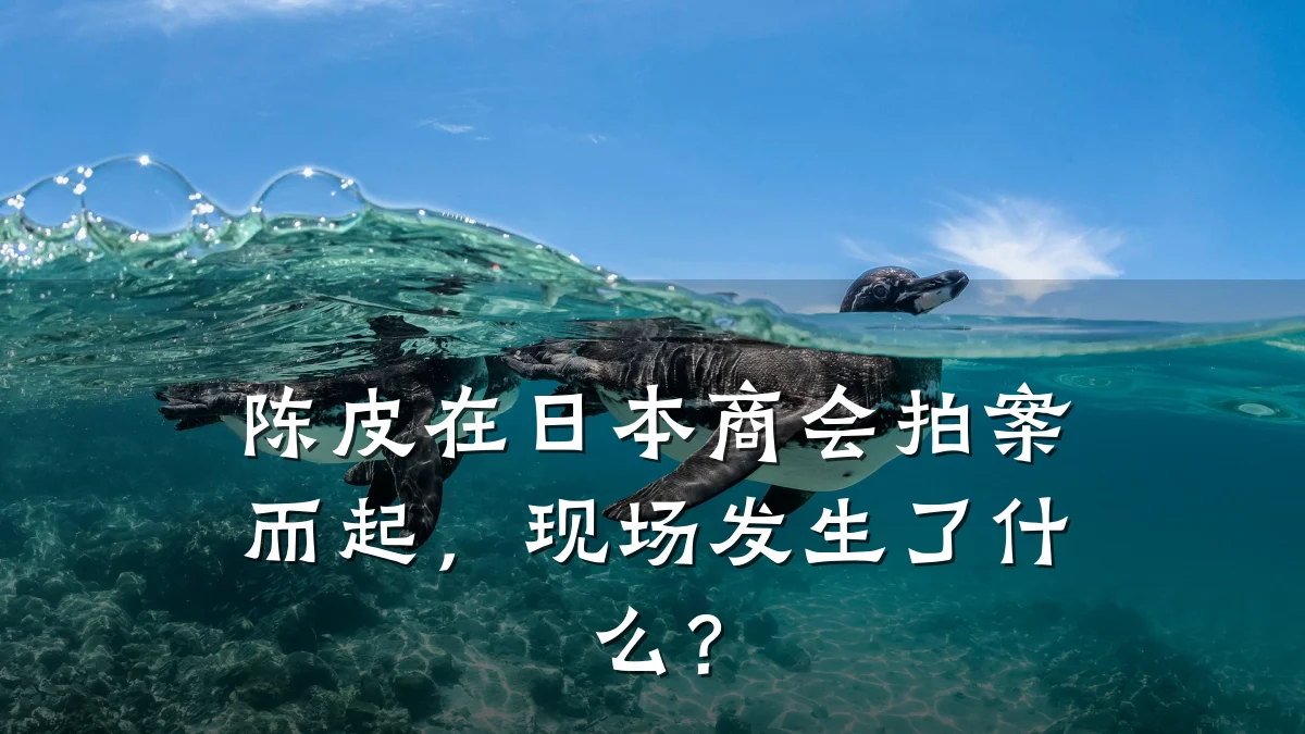 陈皮在日本商会拍案而起,现场发生了什么?