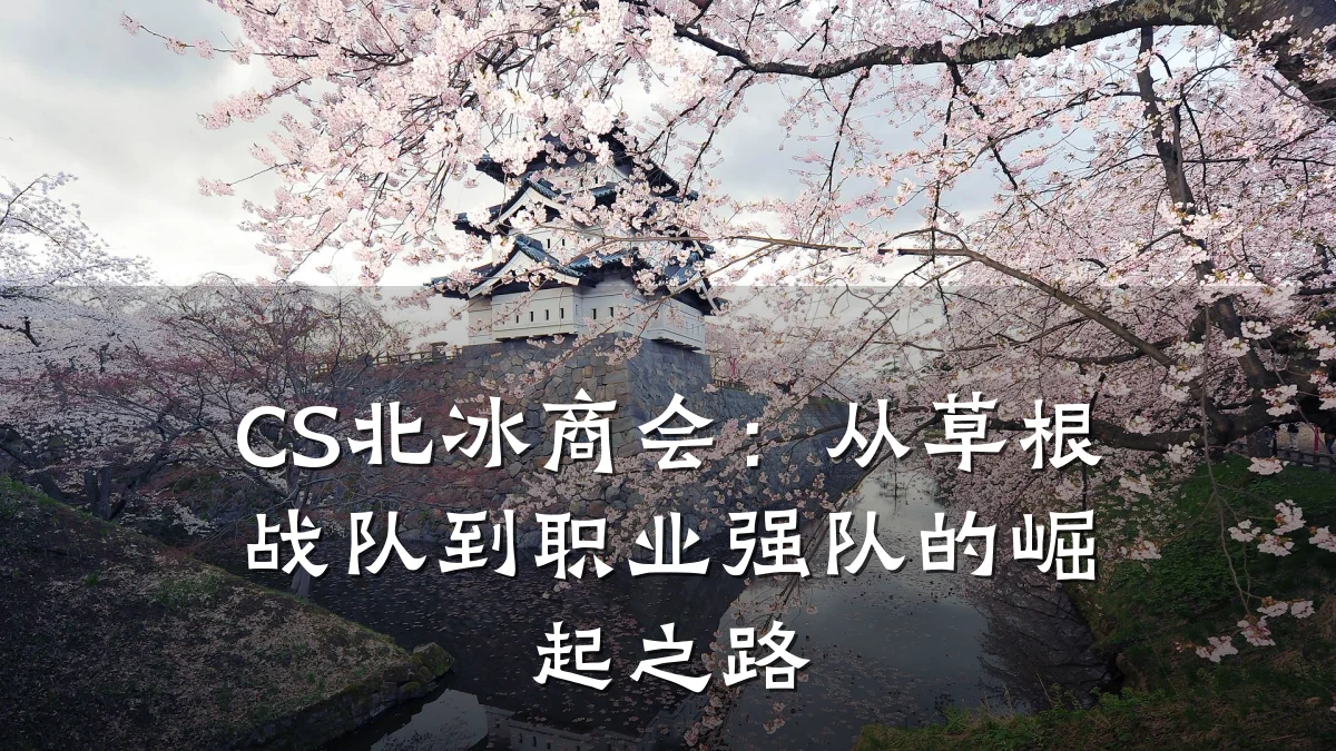 CS北冰商会:从草根战队到职业强队的崛起之路