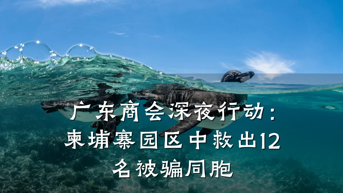 广东商会深夜行动:柬埔寨园区中救出12名被骗同胞