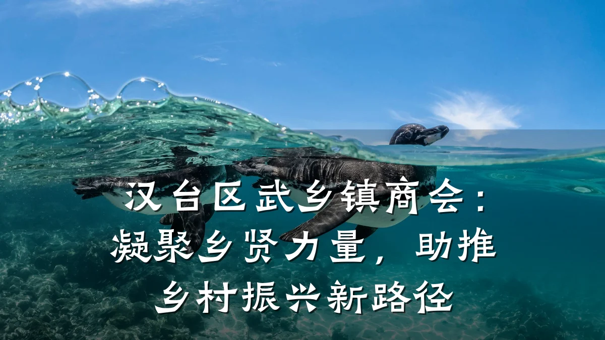 汉台区武乡镇商会：凝聚乡贤力量，助推乡村振兴新路径