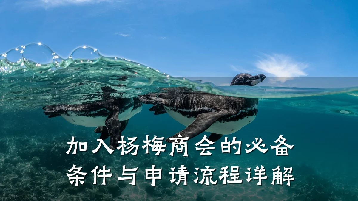 加入杨梅商会的必备条件与申请流程详解