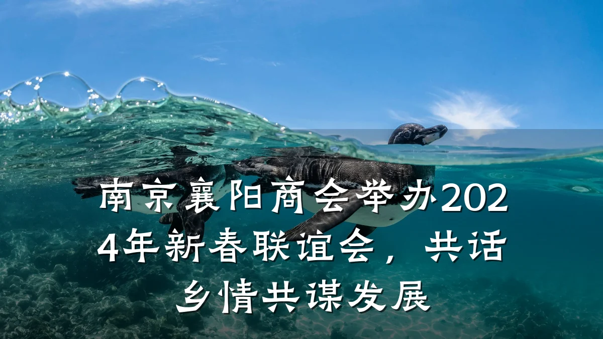 南京襄阳商会举办2024年新春联谊会,共话乡情共谋发展