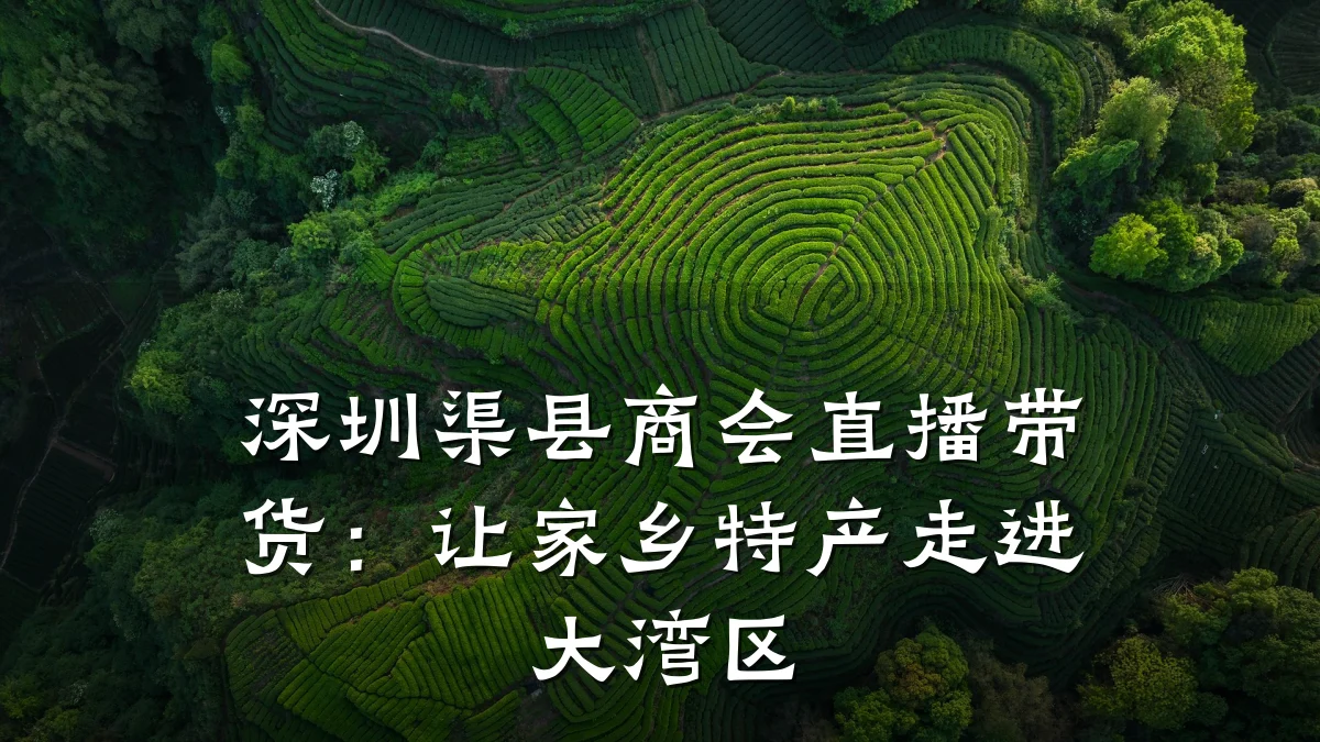 深圳渠县商会直播带货:让家乡特产走进大湾区