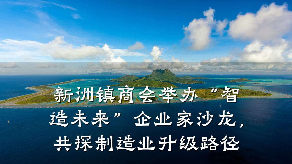 新洲镇商会举办“智造未来”企业家沙龙,共探制造业升级路径