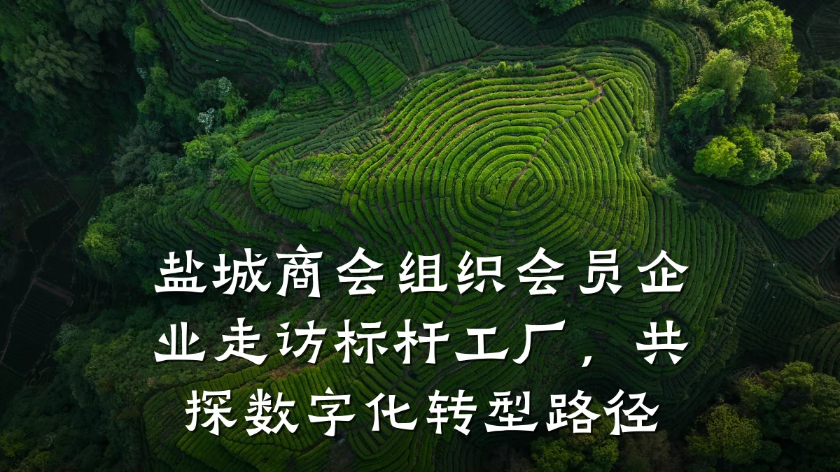 盐城商会组织会员企业走访标杆工厂,共探数字化转型路径