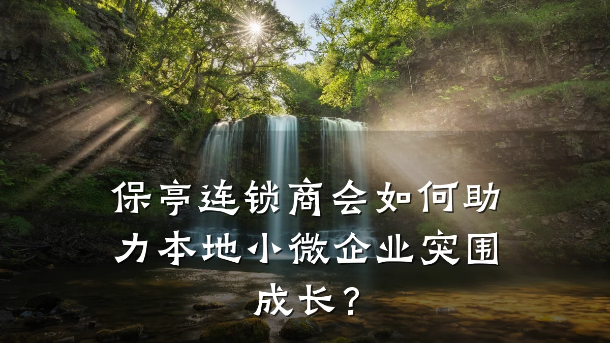 保亭连锁商会如何助力本地小微企业突围成长?