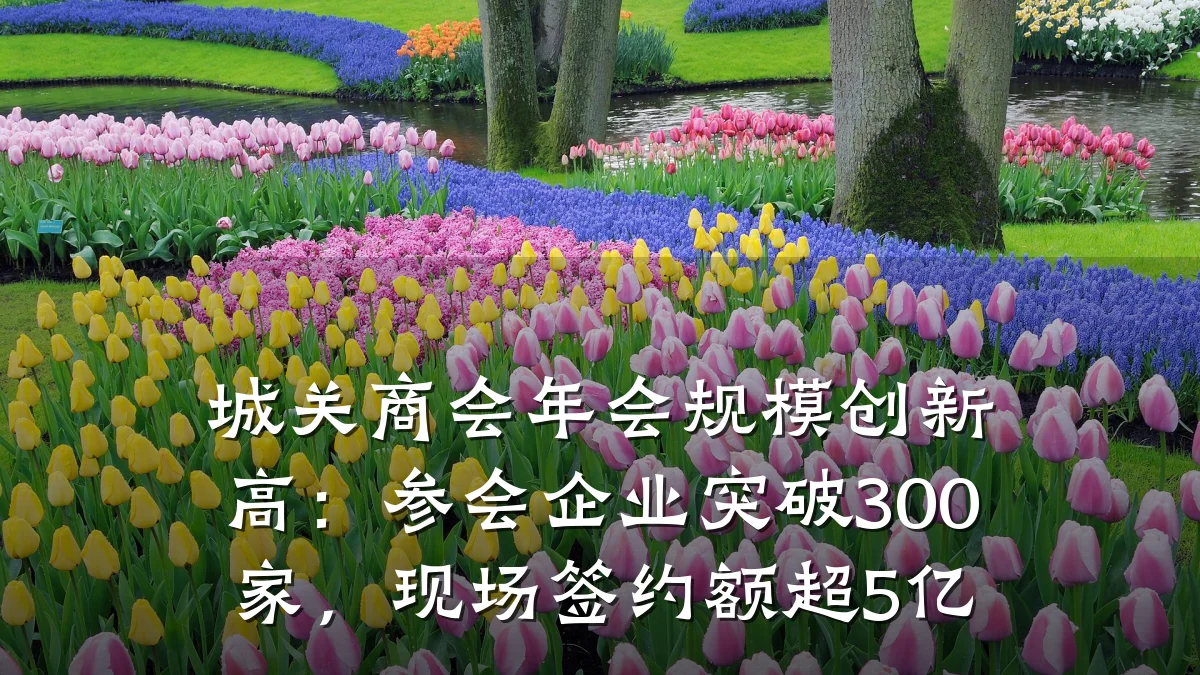 城关商会年会规模创新高:参会企业突破300家,现场签约额超5亿