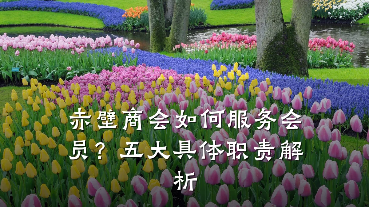 赤壁商会如何服务会员?五大具体职责解析