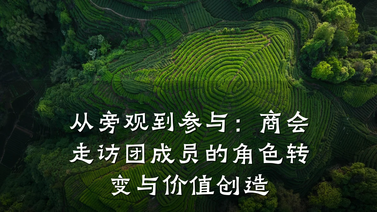 从旁观到参与：商会走访团成员的角色转变与价值创造