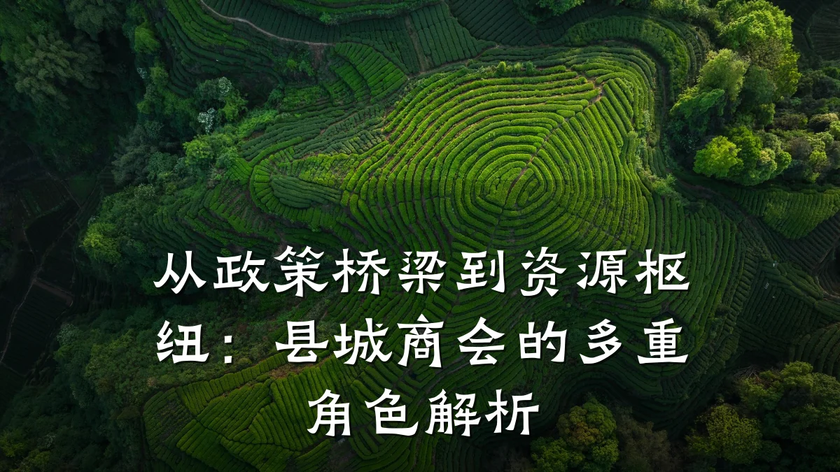 从政策桥梁到资源枢纽:县城商会的多重角色解析