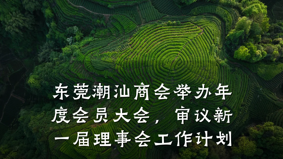东莞潮汕商会举办年度会员大会，审议新一届理事会工作计划