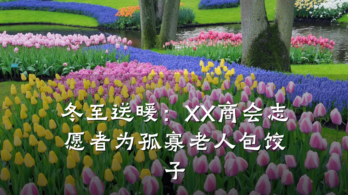 冬至送暖：XX商会志愿者为孤寡老人包饺子
