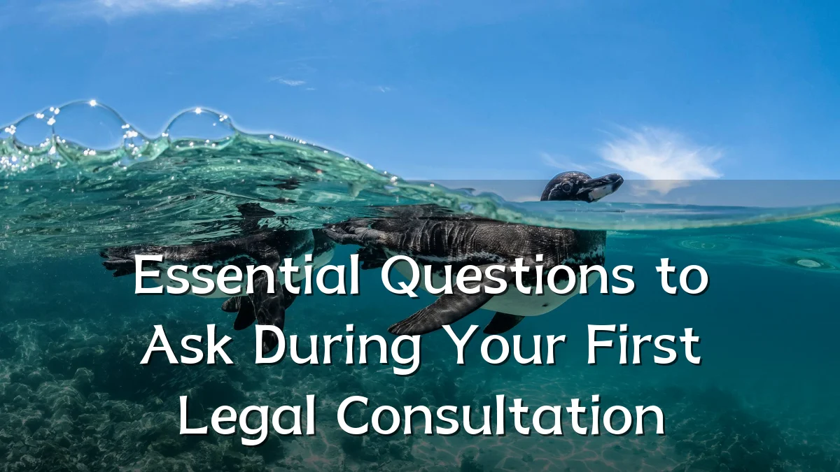 Essential Questions to Ask During Your First Legal Consultation