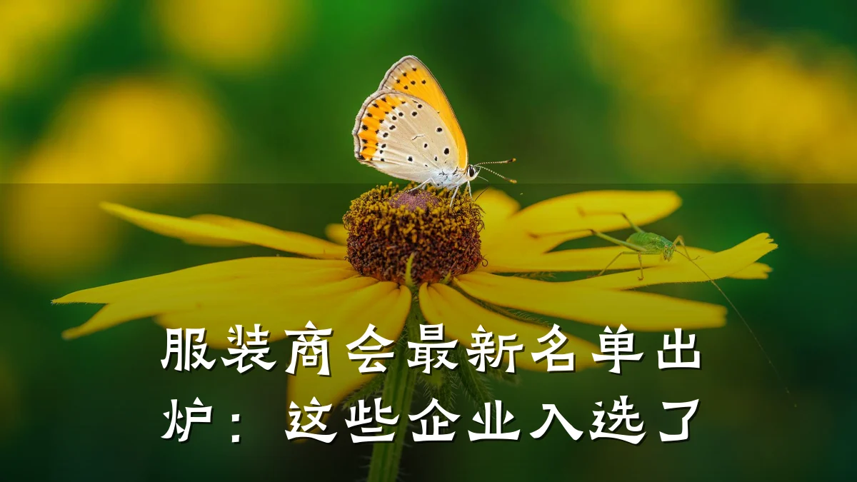 服装商会最新名单出炉：这些企业入选了
