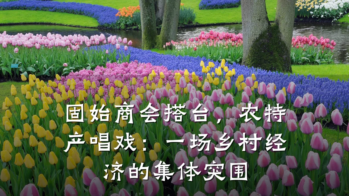 固始商会搭台，农特产唱戏：一场乡村经济的集体突围
