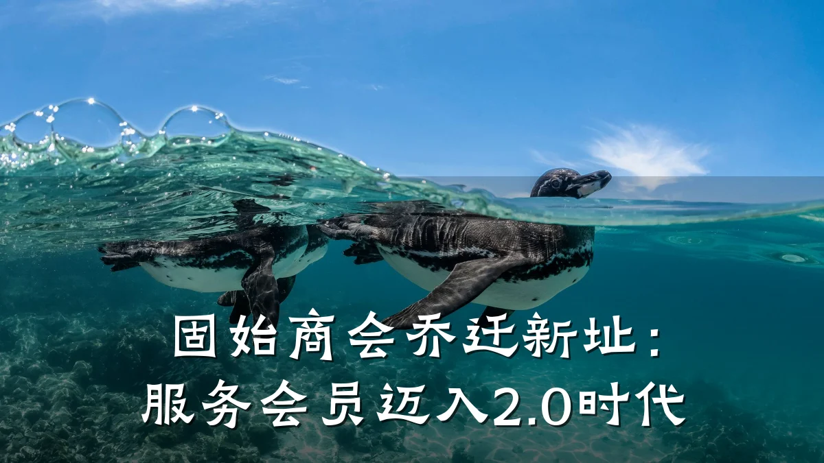 固始商会乔迁新址:服务会员迈入2.0时代
