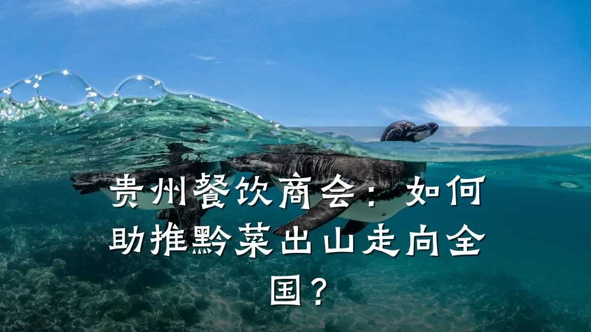贵州餐饮商会：如何助推黔菜出山走向全国？