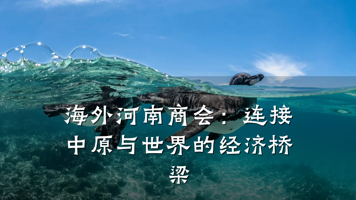 海外河南商会:连接中原与世界的经济桥梁