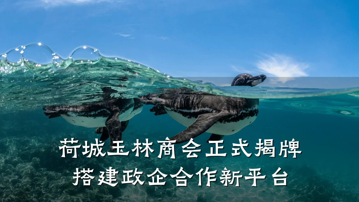 荷城玉林商会正式揭牌 搭建政企合作新平台