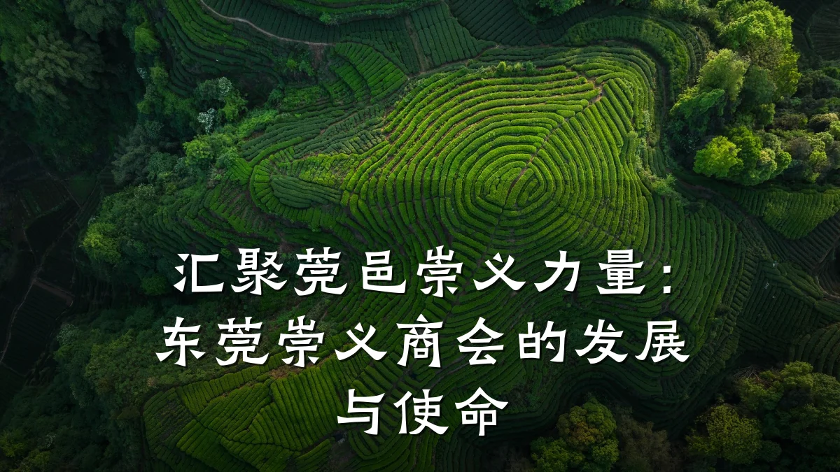 汇聚莞邑崇义力量:东莞崇义商会的发展与使命