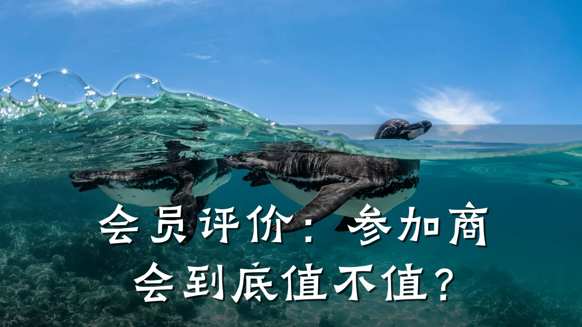 会员评价:参加商会到底值不值?