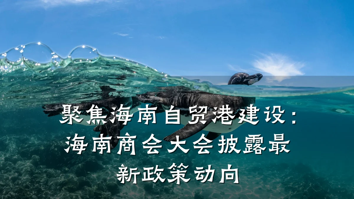 聚焦海南自贸港建设:海南商会大会披露最新政策动向