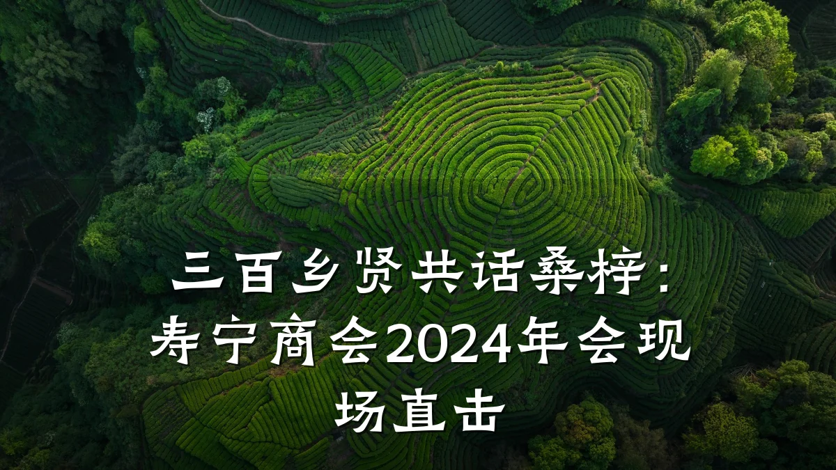 三百乡贤共话桑梓:寿宁商会2024年会现场直击