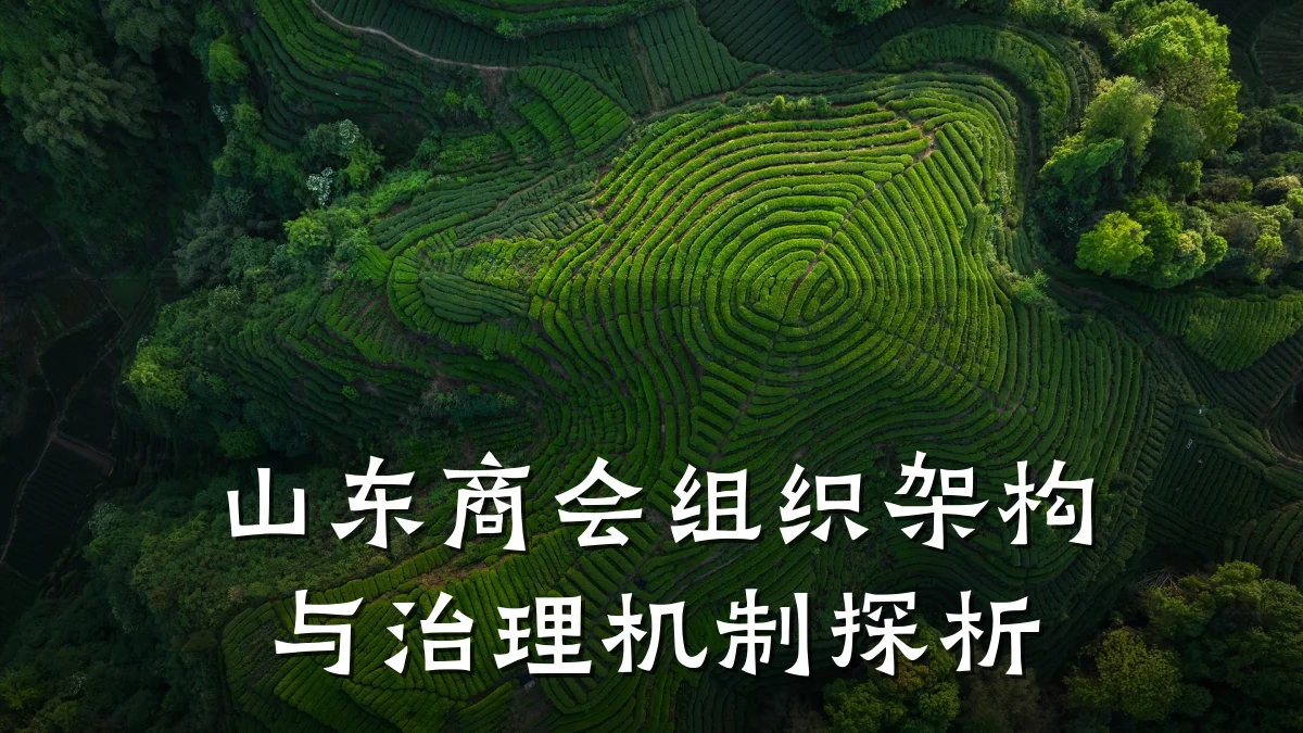 山东商会组织架构与治理机制探析