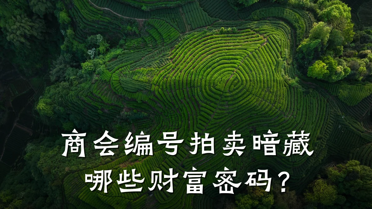 商会编号拍卖暗藏哪些财富密码?