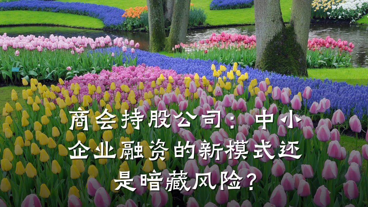 商会持股公司:中小企业融资的新模式还是暗藏风险?