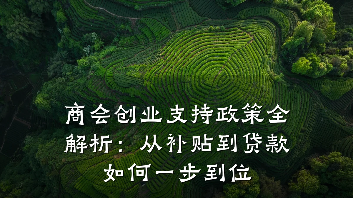 商会创业支持政策全解析：从补贴到贷款如何一步到位