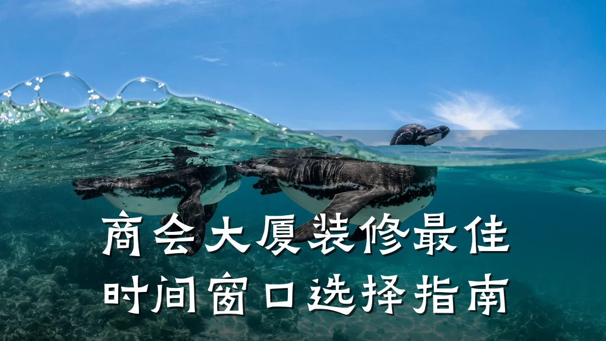 商会大厦装修最佳时间窗口选择指南