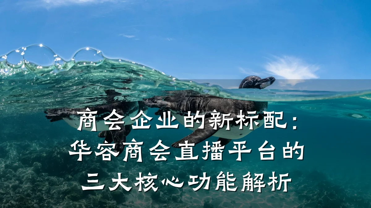 商会企业的新标配:华容商会直播平台的三大核心功能解析