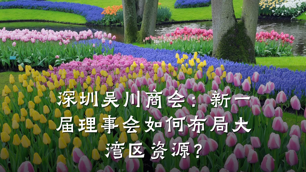 深圳吴川商会:新一届理事会如何布局大湾区资源?