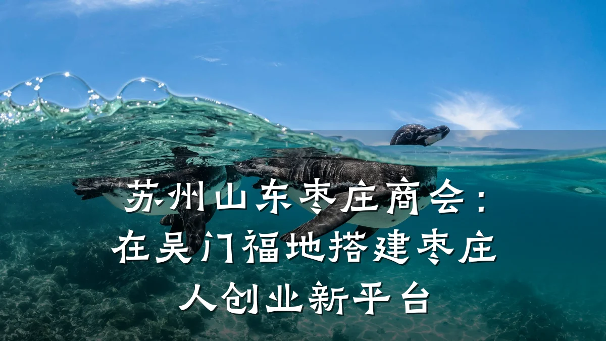 苏州山东枣庄商会:在吴门福地搭建枣庄人创业新平台