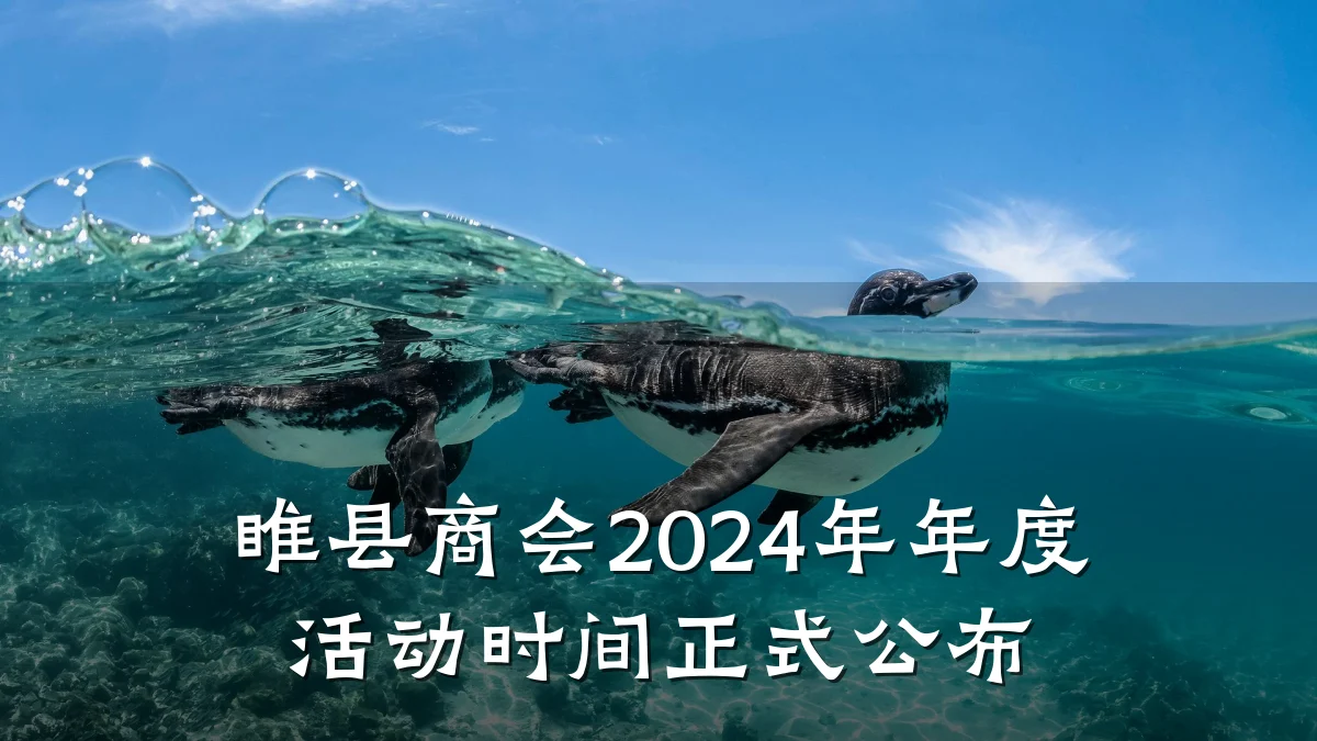 睢县商会2024年年度活动时间正式公布