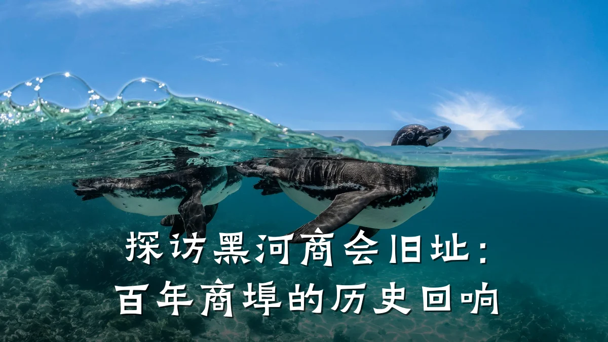 探访黑河商会旧址:百年商埠的历史回响