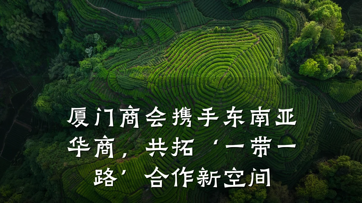厦门商会携手东南亚华商,共拓‘一带一路’合作新空间
