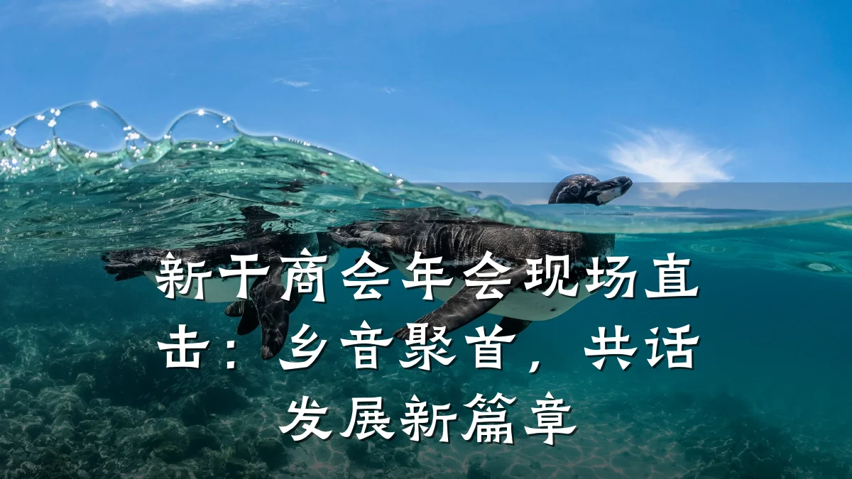 新干商会年会现场直击：乡音聚首，共话发展新篇章