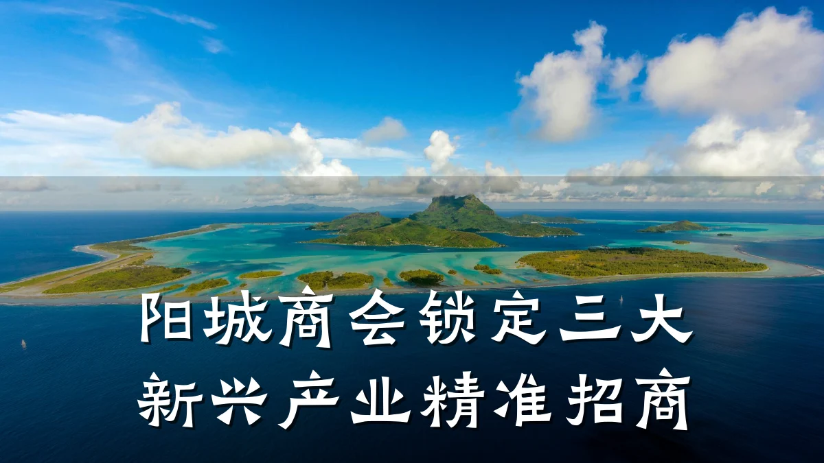阳城商会锁定三大新兴产业精准招商