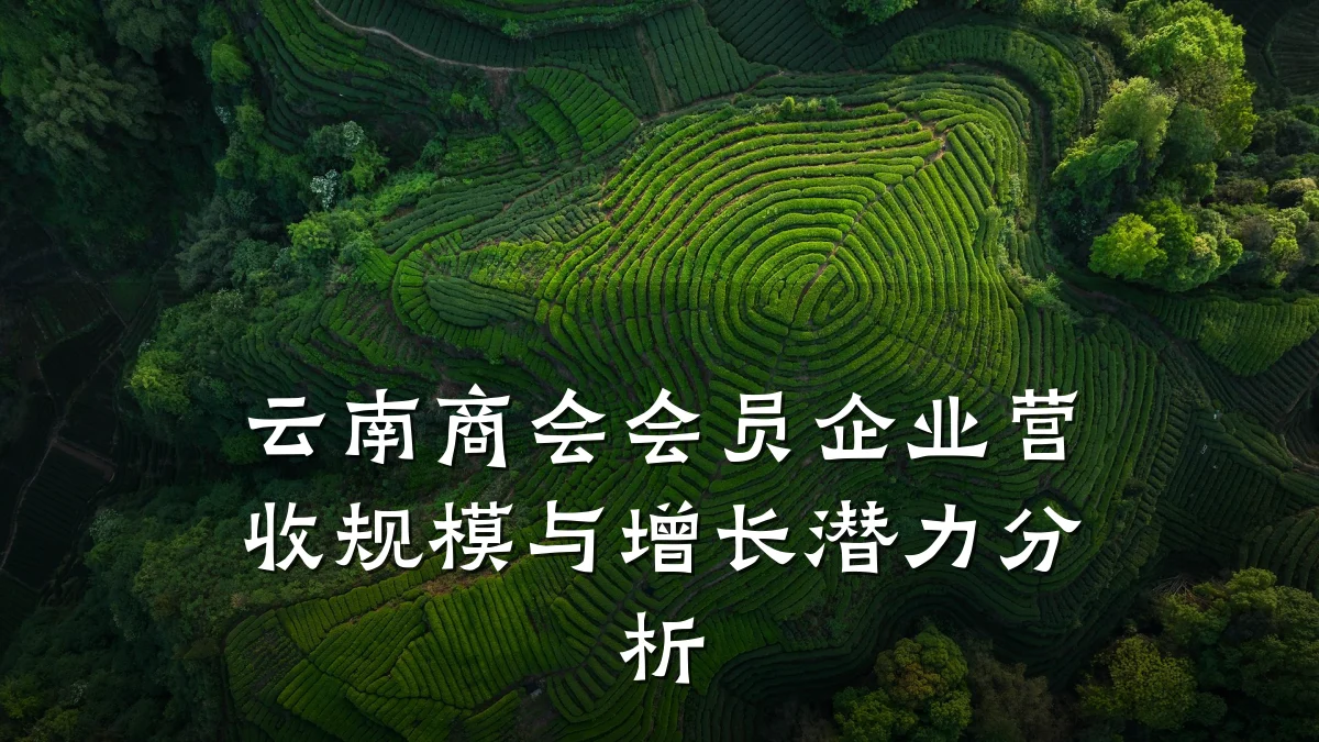 云南商会会员企业营收规模与增长潜力分析