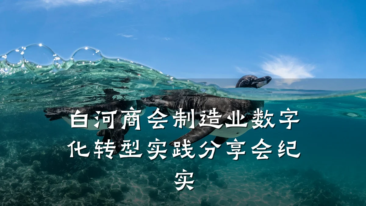 白河商会制造业数字化转型实践分享会纪实